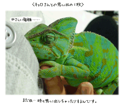 3-21.gif
